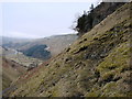 Path above Swinner Gill in DL11 6LJ