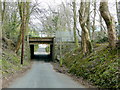 Low railway bridge in CF82 7ES