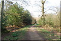 High Weald Landscape Trail through Sprivers Wood in TN12 8LP
