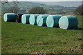 Silage bales near Upper Cefn Farm in HR2 0JH