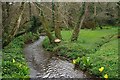 The Valley Floor near Tregarne Mill in TR12 6EW