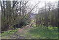 High Weald Landscape Trail in the bottom of the valley near Brenchley in TN12 7AA