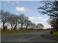 Abb Scott Lane and the cemetery wall from Fenwick Lane in BD6 2PY