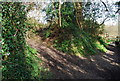 Footpath junction outside Brenchley in TN12 7AA