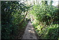Entering Brenchley, High Weald Landscape Trail in TN12 7AA