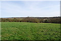 Footpath across a field, Brenchley in TN12 7AA