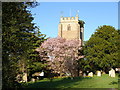 Culmstock All Saints Church tower in the evening light in EX15 3JW
