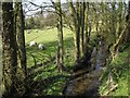 Brook below Oldwich Lane West in B93 0BJ