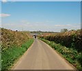 Charlton Horethorne: Lane from Sigwells in DT9 4PH