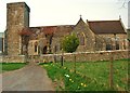 Long Bredy: Church of St Peter in DT2 9HN