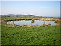 A small pool in the field at Upper Tittesworth Farm in ST13 8TH