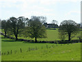 2010 : Trees and pasture and Turner's Court Farm in BA3 4SE