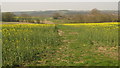 Footpath towards Soper's Lane Farm in TN18 4PT