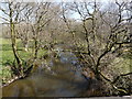 The view downstream from Ashmansworthy Bridge in EX39 5RE