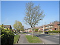 Milton Road in the April sunshine in PO7 6BW