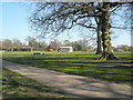 Looking towards the pavilion within Waterlooville Park in PO7 7RE