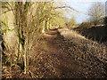 Penton Mewsey - Footpath in SP11 0QX