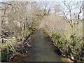 The view upstream from Woodford Bridge in EX22 7PA