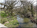The view downstream from Dipper Mill Bridge in EX21 5TA