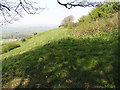 Iron Age Earthworks on Freezing Hill in BA1 9YY