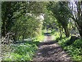 Bridleway near Monxton in SP11 8BH