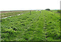 Footpath alongside the Old Bedford River in PE38 0BA