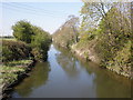 River Brue, Bason Bridge in TA9 3PN