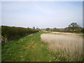 Bridleway NE of Tong Park Farm in WV7 3AB
