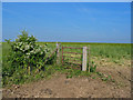 Bridleway gate Pentridge Dorset in SP5 5QU