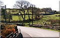 Lon Tabor near the junction with the A497 in LL52 0PE