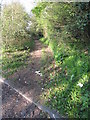 Overgrown path in RG25 3AB