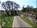 The access road to Eglwys Ynyscynhaearn church in LL52 0PE