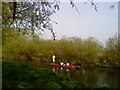 Punting on the Cam near Grantchester in CB3 9NQ