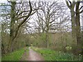 Track from East Grimstead to Bentley Wood in SP5 3SA
