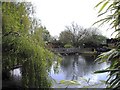 Lake within Frosts Garden Centre, Sandy Lane, Willington in MK44 3QJ