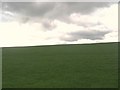 Grazing lands at East Bucklyvie in KY4 8ES