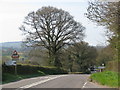 A358 towards Axminster in EX13 7NG