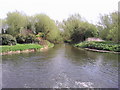 River Welland Deeping St James in PE6 8TZ