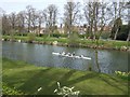 Rowing on the River Severn in SY3 7QX