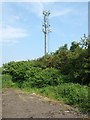 Telecoms mast, Leighton Road in LU7 9HW