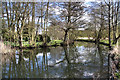 River Thet at Thetford in IP24 2EQ
