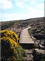 A boardwalk on the South West Coastal Path in TR26 3BJ