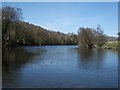 Erwood: the River Wye, looking upriver in LD2 3EJ