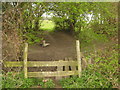 Stile, footbridge and footpath junction near Home Farm in CT6 7NN