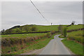 Upland grazing near Waun in SY17 5RQ
