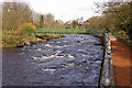 Footbridge over the Allan Water in FK15 0BD