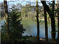 Fishing lake, Ottershaw in KT16 0QU