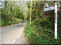 East Devon : Ladram Road & Signpost in EX9 7JR