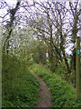 Footpath to Church Farm, Low Street  & New Leas in Badingham