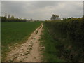 Footpath to Hawe Shave in CT6 7TE